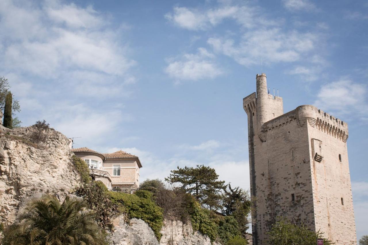 Zenao Villeneuve-lès-Avignon